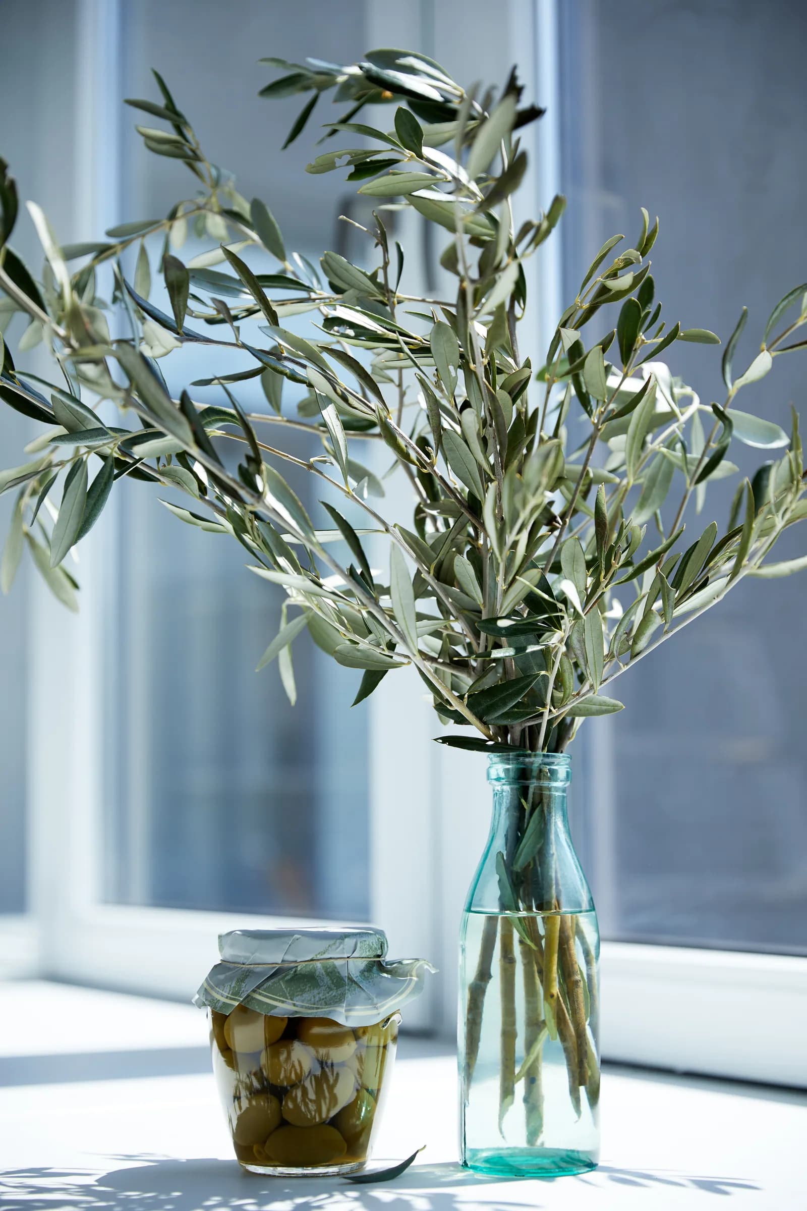 Olive branches in a glass bottle beside a jar of olives on a bright windowsill.